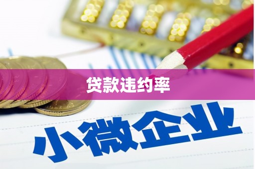 金峰贷款违约率