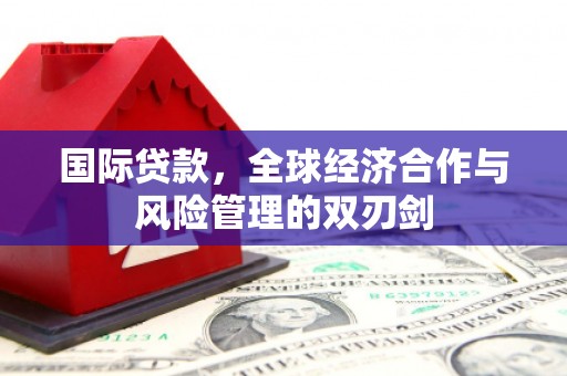 金峰国际贷款，全球经济合作与风险管理的双刃剑