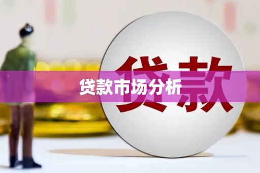金峰贷款市场分析