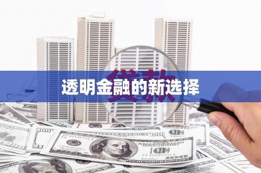 金峰透明金融的新选择