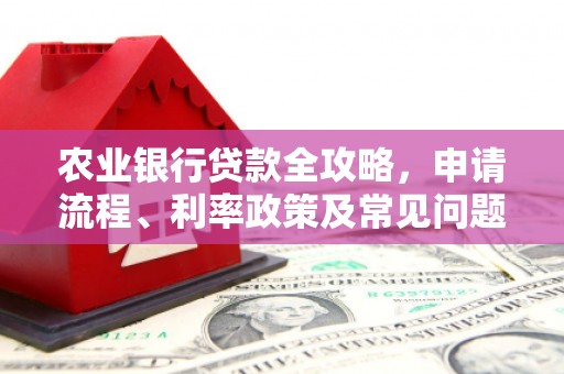 金峰农业银行贷款全攻略，申请流程、利率政策及常见问题解析