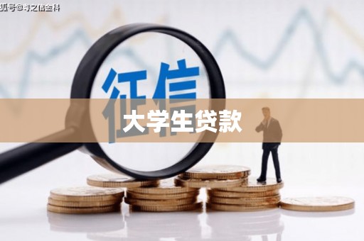 金峰大学生贷款