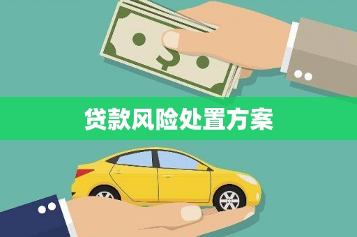金峰贷款风险处置方案