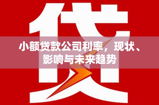 金峰小额贷款公司利率，现状、影响与未来趋势