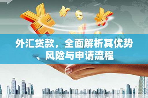 金峰外汇贷款，全面解析其优势、风险与申请流程