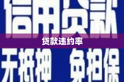 金峰贷款违约率