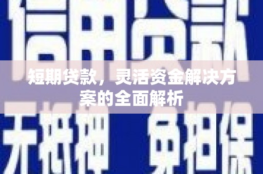 金峰短期贷款，灵活资金解决方案的全面解析
