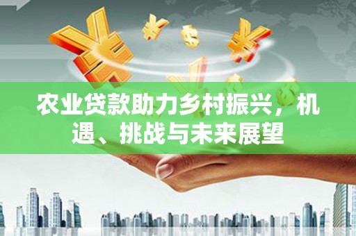 金峰农业贷款助力乡村振兴，机遇、挑战与未来展望