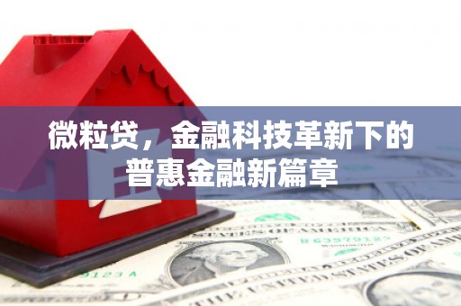 金峰微粒贷，金融科技革新下的普惠金融新篇章