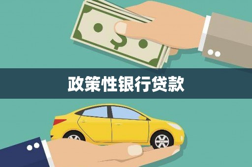 金峰政策性银行贷款