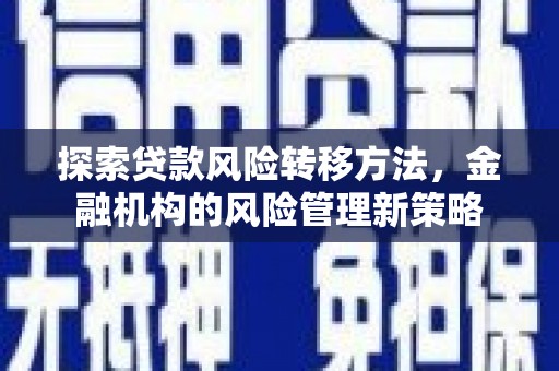 金峰探索贷款风险转移方法，金融机构的风险管理新策略