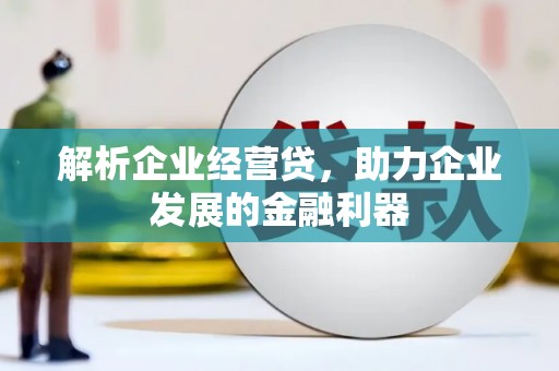 金峰解析企业经营贷，助力企业发展的金融利器