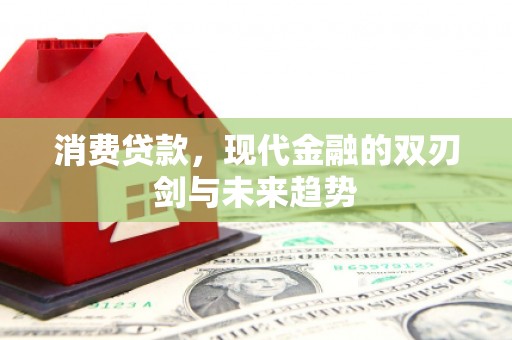 金峰消费贷款，现代金融的双刃剑与未来趋势