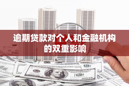 金峰逾期贷款对个人和金融机构的双重影响