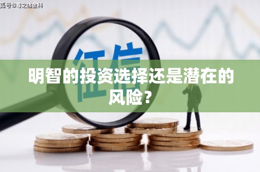 金峰明智的投资选择还是潜在的风险？