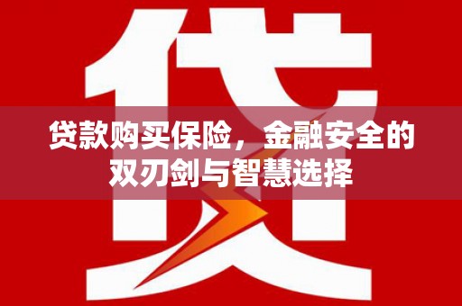 金峰贷款购买保险，金融安全的双刃剑与智慧选择