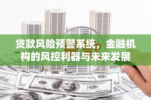 金峰贷款风险预警系统，金融机构的风控利器与未来发展