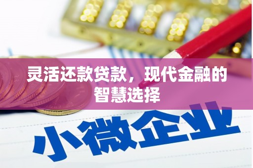金峰灵活还款贷款，现代金融的智慧选择