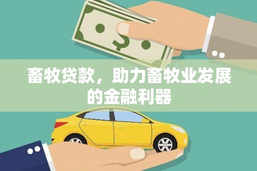 金峰畜牧贷款，助力畜牧业发展的金融利器