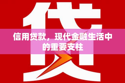 金峰信用贷款，现代金融生活中的重要支柱