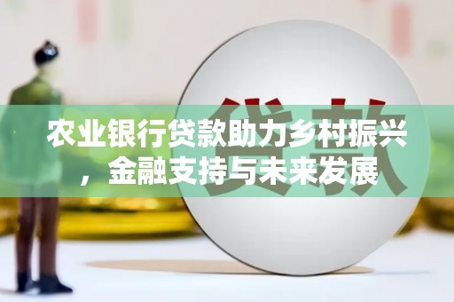 金峰农业银行贷款助力乡村振兴，金融支持与未来发展