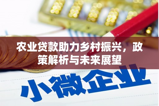 金峰农业贷款助力乡村振兴，政策解析与未来展望