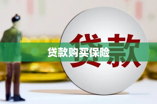 金峰贷款购买保险