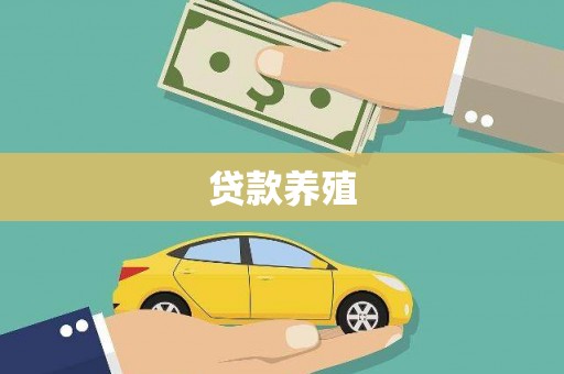 金峰贷款养殖