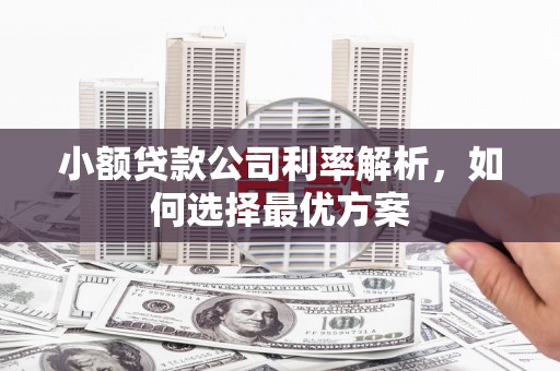 金峰小额贷款公司利率解析，如何选择最优方案