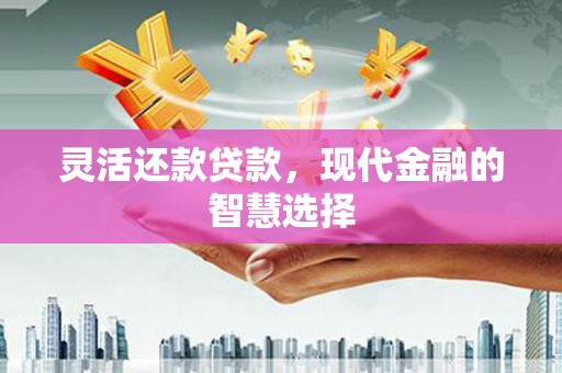 金峰灵活还款贷款，现代金融的智慧选择