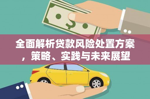 金峰全面解析贷款风险处置方案，策略、实践与未来展望