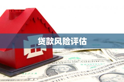 金峰贷款风险评估