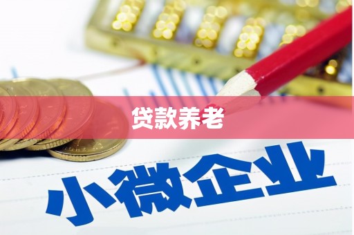 金峰贷款养老