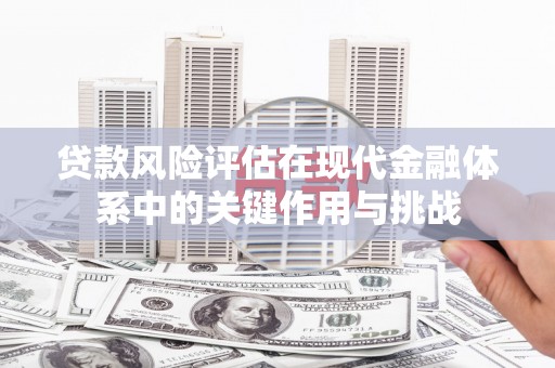 金峰贷款风险评估在现代金融体系中的关键作用与挑战