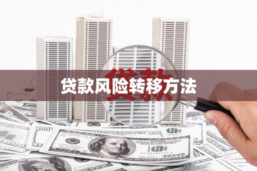金峰贷款风险转移方法
