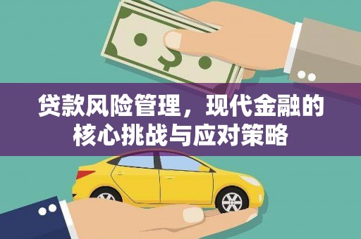 金峰贷款风险管理，现代金融的核心挑战与应对策略