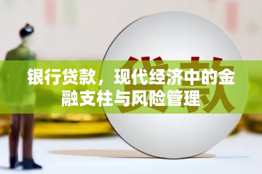 金峰银行贷款，现代经济中的金融支柱与风险管理