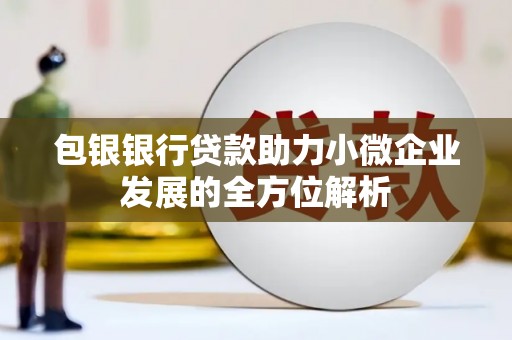 金峰包银银行贷款助力小微企业发展的全方位解析