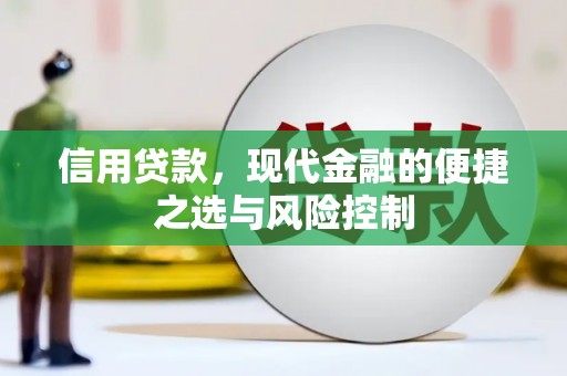 金峰信用贷款，现代金融的便捷之选与风险控制