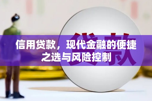 金峰信用贷款，现代金融的便捷之选与风险控制