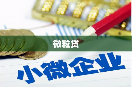 金峰微粒贷