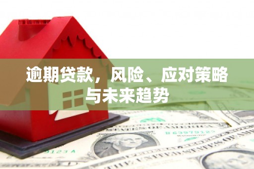 金峰逾期贷款，风险、应对策略与未来趋势