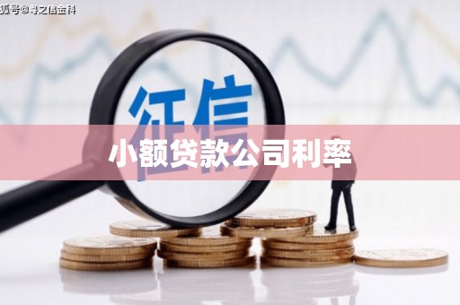 金峰小额贷款公司利率