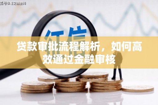 金峰贷款审批流程解析，如何高效通过金融审核
