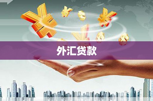 金峰外汇贷款