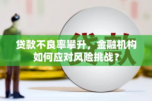 金峰贷款不良率攀升，金融机构如何应对风险挑战？