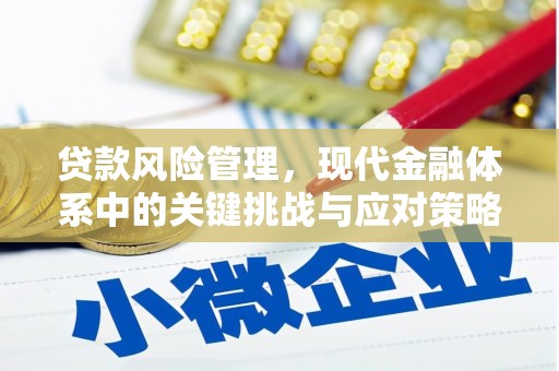 金峰贷款风险管理，现代金融体系中的关键挑战与应对策略