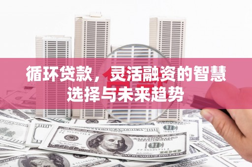 金峰循环贷款，灵活融资的智慧选择与未来趋势