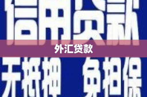 金峰外汇贷款
