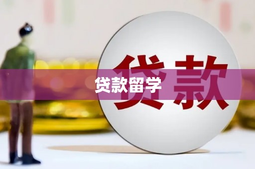 金峰贷款留学